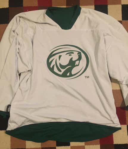 Beavers College Jersey Reversible