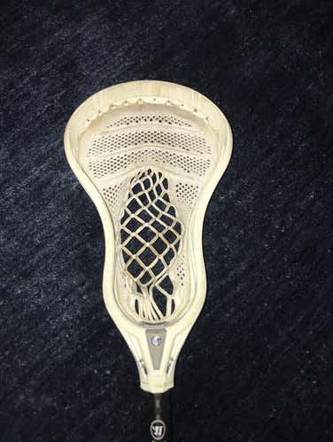 Warrior Evo Warp Pro [whip 3]