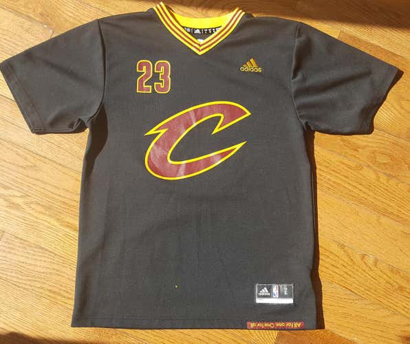 lebron sleeved jersey