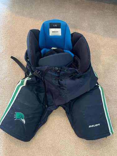 Endicott College Pants