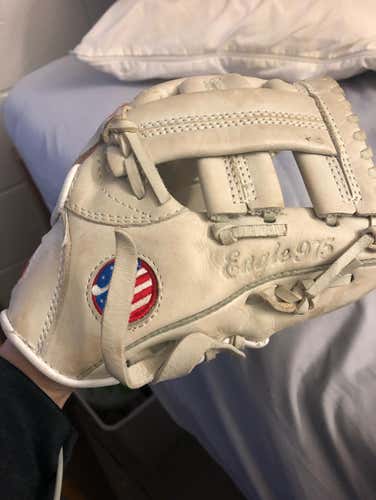 Training Glove Premium Leather