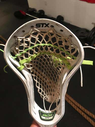 STX Head