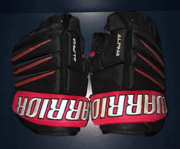 Used Warrior gloves
