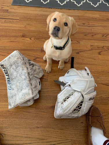 HB BAUER 1S GLOVE AND BLOCKER (NEVER BEEN SCORED ON)