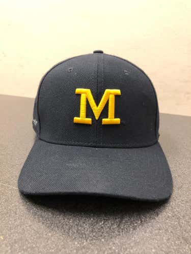 University of Michigan Nike Dri-Fit Hat (Jordan Brand)
