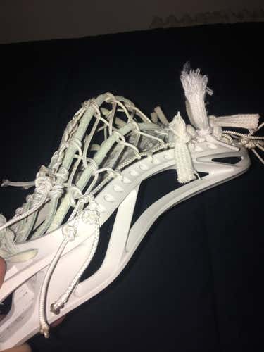 Traditional Style Head