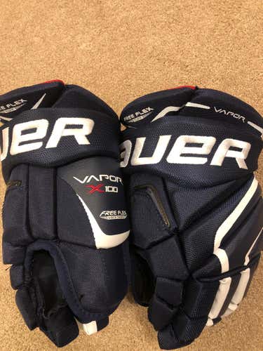 Vapor X100 13” Navy Glove