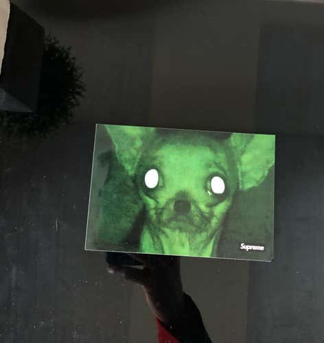 Creepy Ass Supreme Sticker Chris Cunningham Dog Sticker