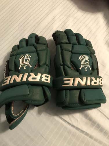 Used Once Brine Gloves