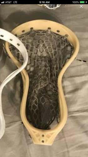 Raw Stringking 2F