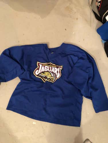 Blue michigan jags jersey. Medium.