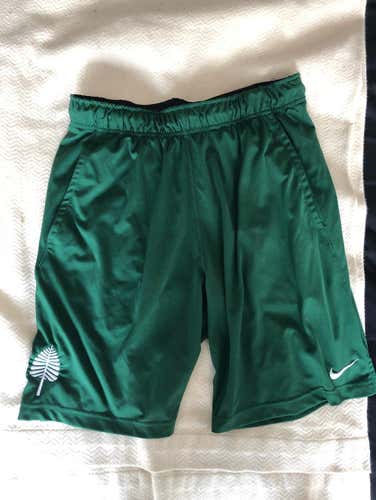 Nike Dartmouth Dri-Fit Shorts