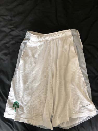 Nike Dartmouth Mesh Shorts