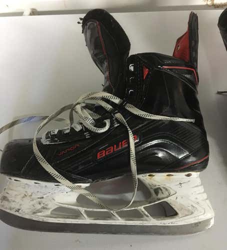 Bauer 1XLE Skates