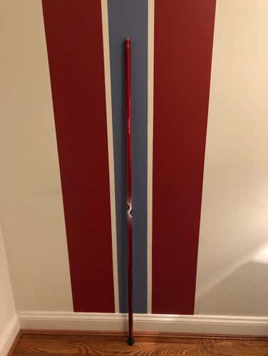 Warrior Platinum D Pole