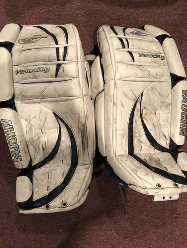 Goalie Leg Pads