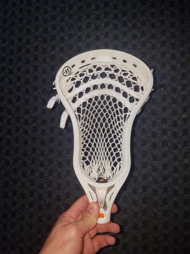 New Warrior Burn 2 Max