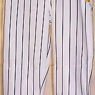ChamproBP6YNP Pro-Plus Youth BB Pants SM White/Navy Pin