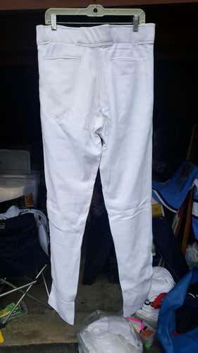 Tampa Blue Rays Pants