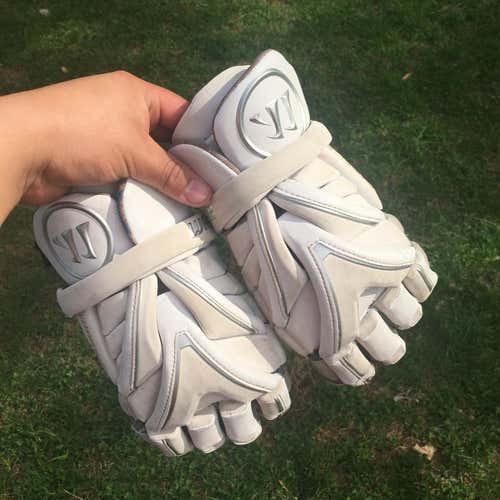 Warrior Evo Gloves