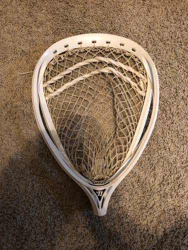 Warrior Nemesis 2