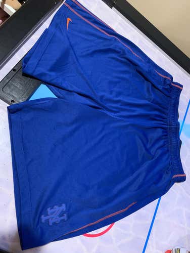 Nike Dr-Fit NY Mets Gym Shorts