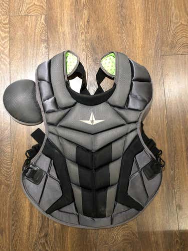All Star System 7 Leg guards and chest protector