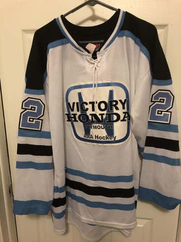 Lot of 7 VH AAA Game Jerseys L& XL