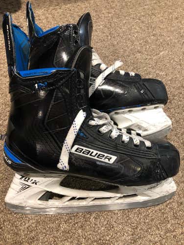 Bauer Nexus 1N 8E AHL Return
