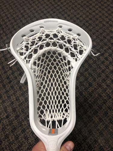 New Warrior Burn FO
