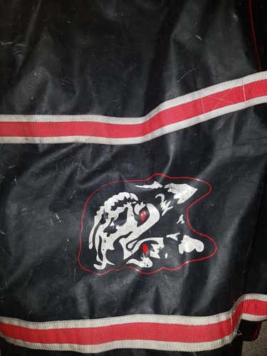 Pro stock ncaa Northeastern bag