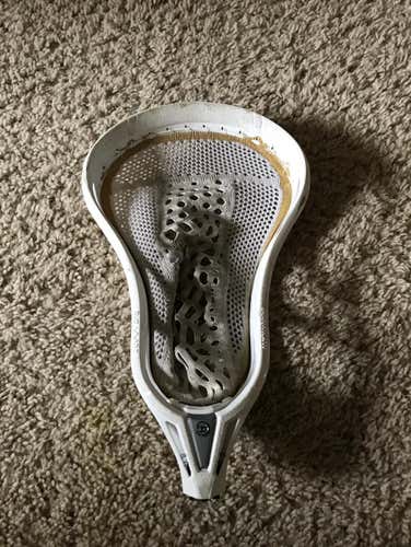 Warrior Evo Warp