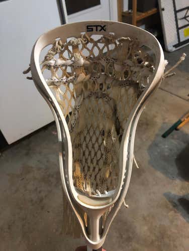 STX Head