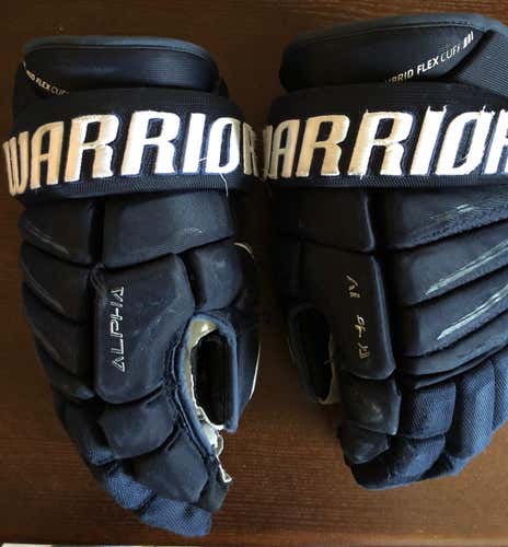 Warrior Alpha Pro Gloves (Used)