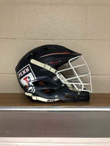 Team issued UPenn stallion