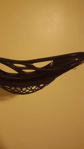 Warrior Evo Warp Next