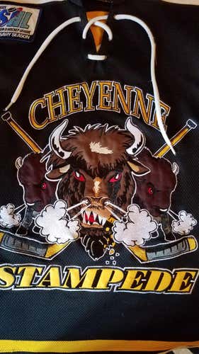 Minor League - "Official" Authentic Game Worn Stampede Jersey #27