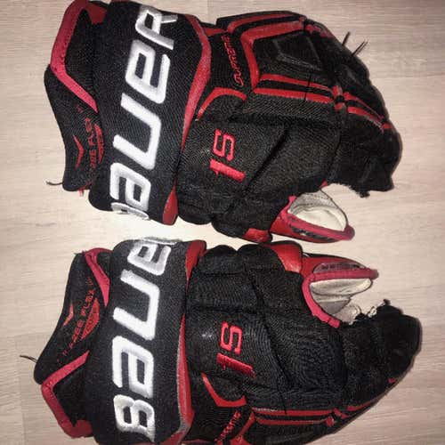 Bauer 1s Northeastern