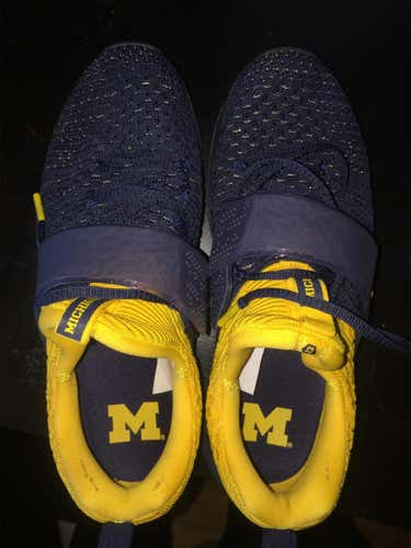 Air Jordan x Michigan trainer shoes
