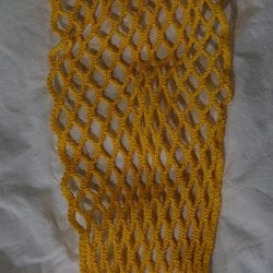Lacrosse Mesh