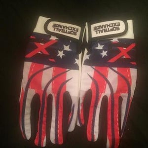 American Flag Batting Gloves