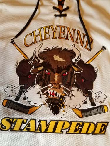 Minor League - "Official" Authentic Game Worn Stampede Jersey #40 NEW