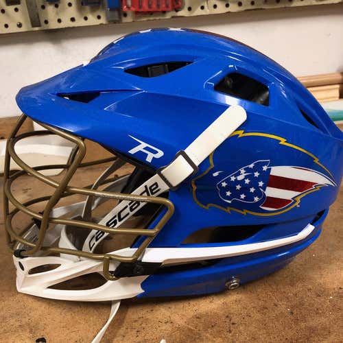 Custom Hofstra Pride R