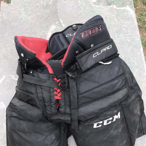 Senior Large Ccm Cl Pro