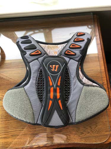 WARRIOR CHEAT PLATE