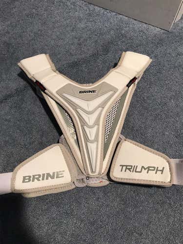 Triumph Aero Shield