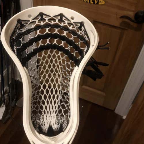Warrior Rabil 2
