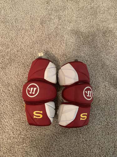 Salisbury Evo Pro AP 2019