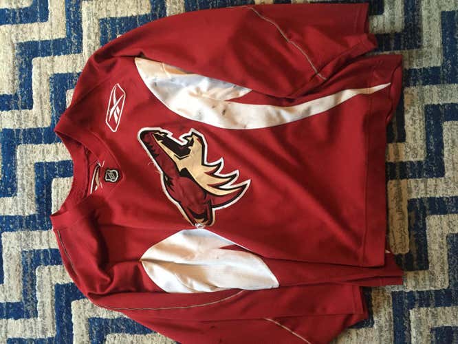 Reebok Arizona Coyotes Practice Jersey