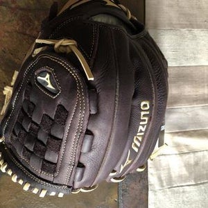 New Mizuno franchise Baseball Glove